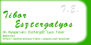 tibor esztergalyos business card